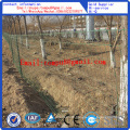 PVC-Coated Fence Roll/Euro Fence Hot Sale